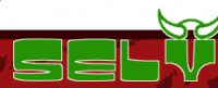 FTN
