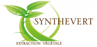 SYNTHEVERT SYSTEM INDUSTRIE