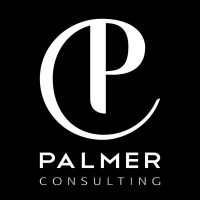 PALMER CONSULTING