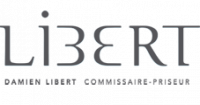DAMIEN LIBERT SVV