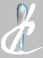 LUMINESCENCE LABORATOIRE CHICHE