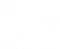 A.B.S