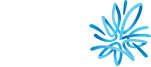 AMP