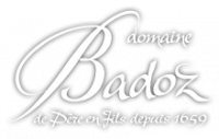 B BADOZ VIN JAUNE VIN PAILLE VINS JURA