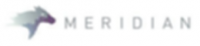 MERIDIAN INTERNATIONAL