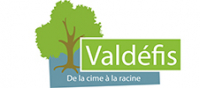 VALDEFIS