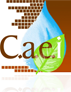 CAEI