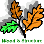 WOOD ET STRUCTURE