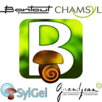 CHAMSYL