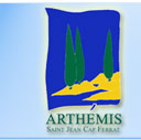 AR THEMIS
