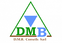 DMB CONSEILS