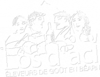 LOS D'ACI