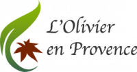 L'OLIVIER EN PROVENCE