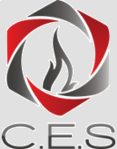 CONSEIL EN SECURITE C E S SOC NOUV