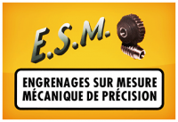 ESM