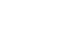 DEA SYSTEM
