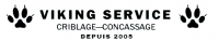 VIKING SERVICE