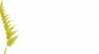 ELEMEN