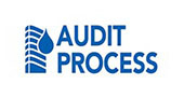 AUDIT PROCESS