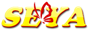 SEYA INFORMATIQUE