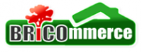 BRICOMMERCE