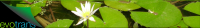 EVOTRANS