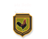 BELLE  TOITURE