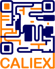 CALIEX