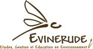 EVINERUDE