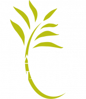 FINANCIERE DU PALAIS IMPERIAL