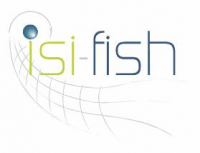 ISI-FISH