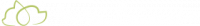 DM NUTRITION