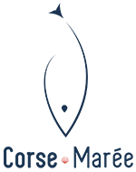 CORSE MAREE