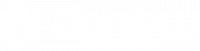 DN ELECTRONICS