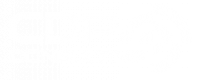 CDP CONSULTING