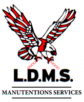L.D.M.S