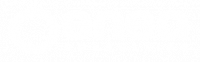 ENEA CONSULTING