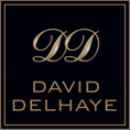 DELHAYE DAVID