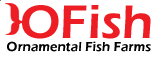 O'FISH