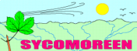 SYCOMOREEN