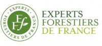 CNEFEF