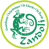 ZANDOLI FWI