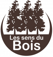 LES SENS DU BOIS