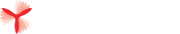 ANTYCIP SIMULATION