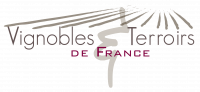 VIGNOBLES ET TERROIRS DE FRANCE SARL