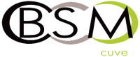 BSM CUVE