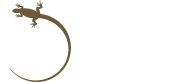 IGUANA YACHTS