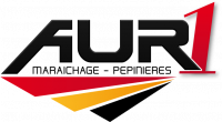 AUR 1