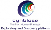 CYNBIOSE