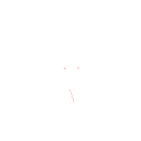 ELECTROVARTE